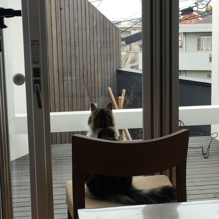 419ade4d dcac 4bad 9cf7 1bd96c4a20a6 1519606892889