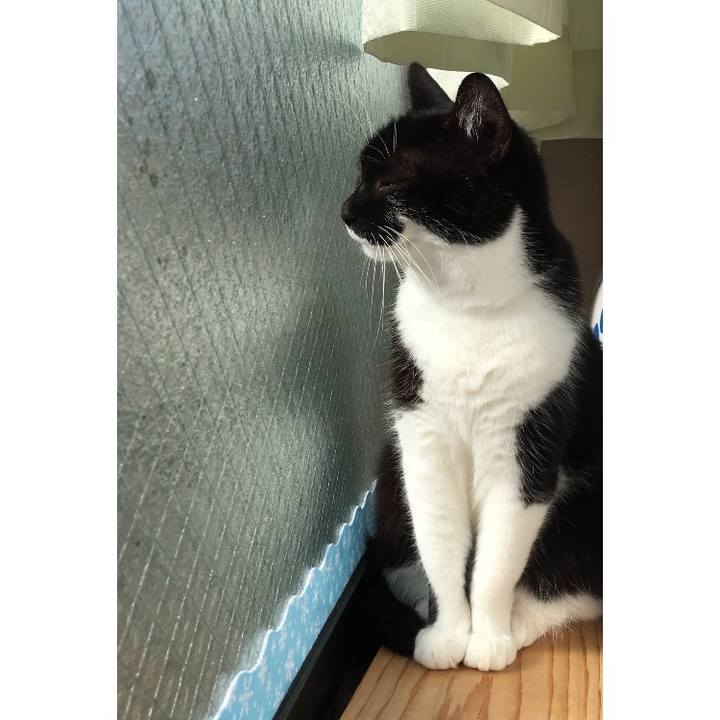 419af589 cd3f 4eef 8af7 d4f7df9000e7 1514690600871