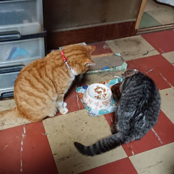 419b1c48 5757 4839 9540 1f7d09538fc0 1576575510494