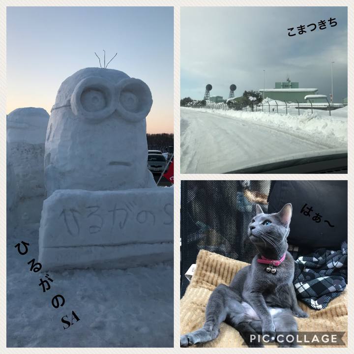 419b5126 396a 4e0e afdc 23fc6e1f4c5a 1518137551305