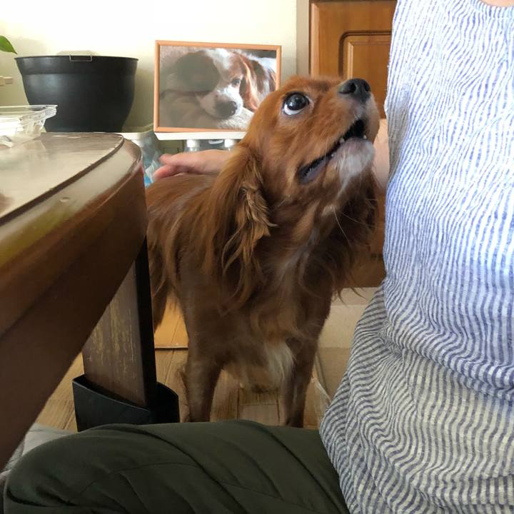 419b5a41 6c83 495f a155 5668e90616c4 1534070331179