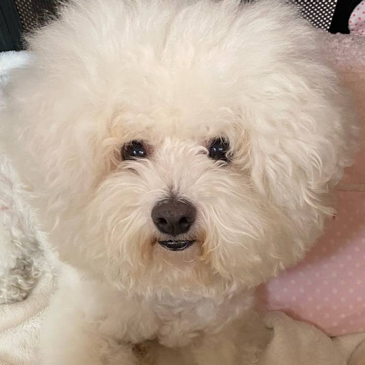 419b5a50 35b3 46ab a4bb 70a3d363a0f0 1731483929725