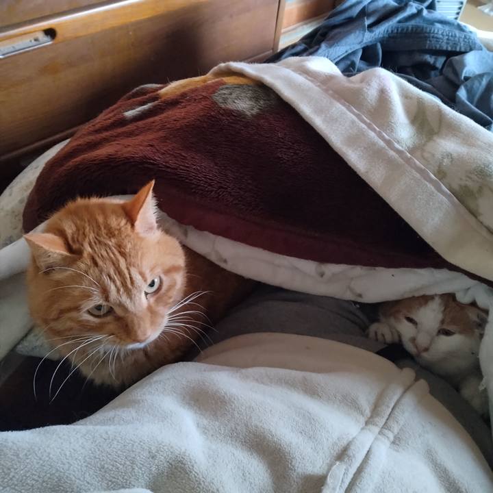 419b7a5e 5e9b 4c64 90a8 b2719787cc39 1736579367697