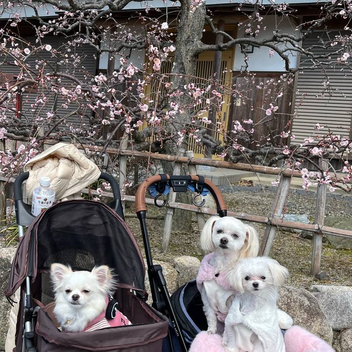 419b92a4 e846 4d9d b735 00083d8c8685 1707557347575