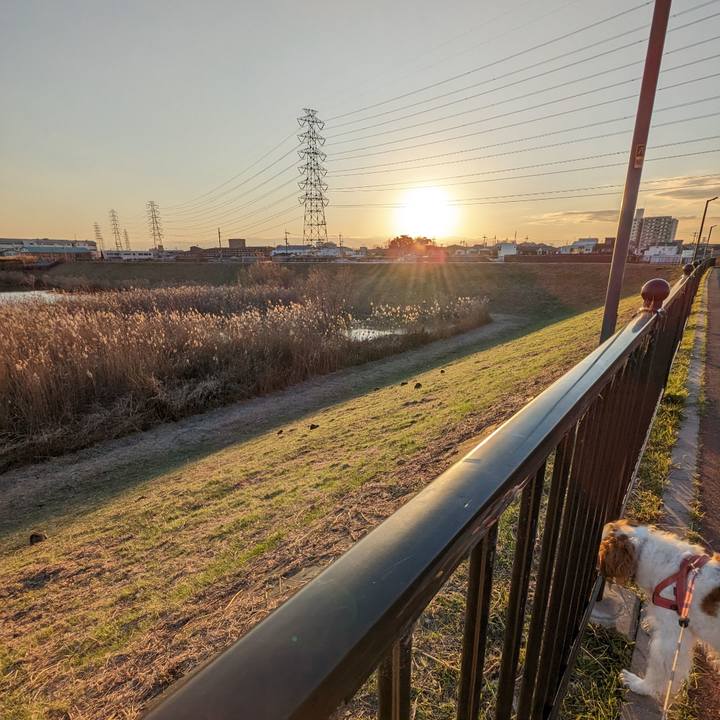 419b952e a729 477e 840d 1e1ac9ac744a 1674116401281