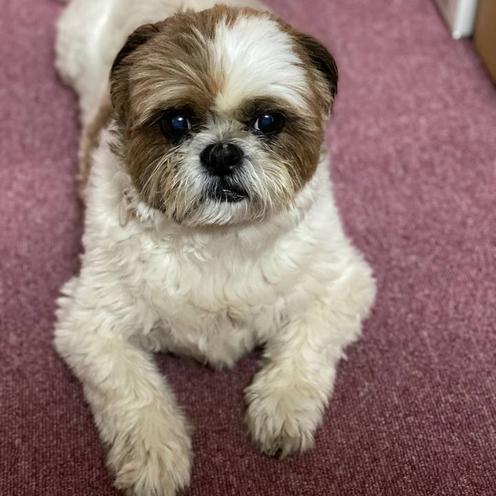 419baf8a 214a 41aa 8888 58711381e2a1 1595562320722