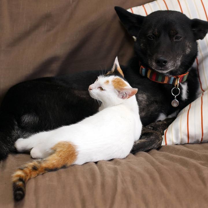 419bb8f2 a625 4a48 80ef 459d6ba7a317 1544714923360