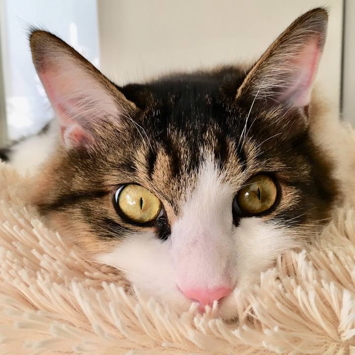 419bc322 7ffe 4414 938f b0af7f58a3ca 1511575486601