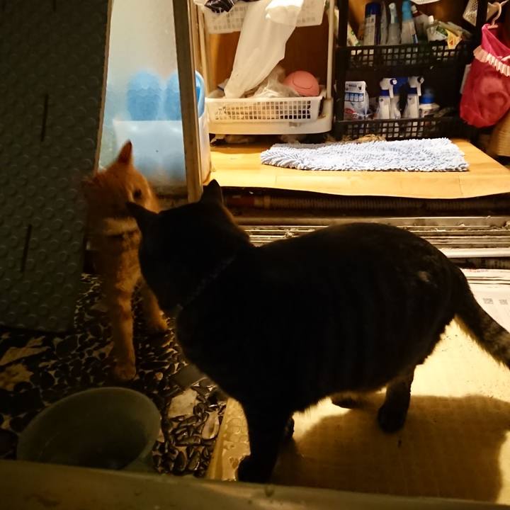 419bc626 e337 45d9 9f8d 6daebf7179fc 1643110513186