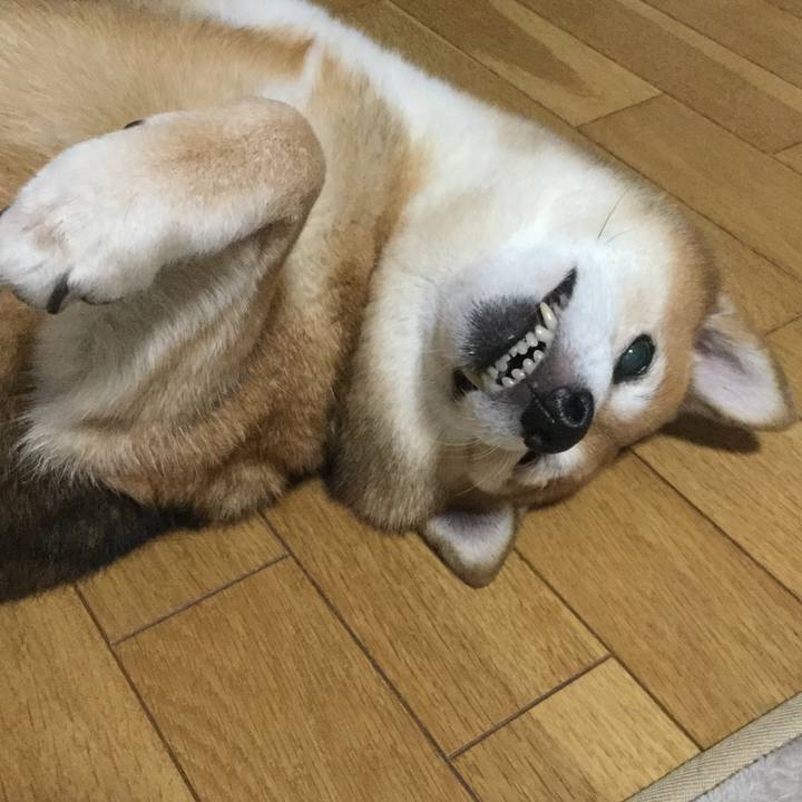 419be80a f5e7 414e b55e 35f62405ff6b 1604393298786