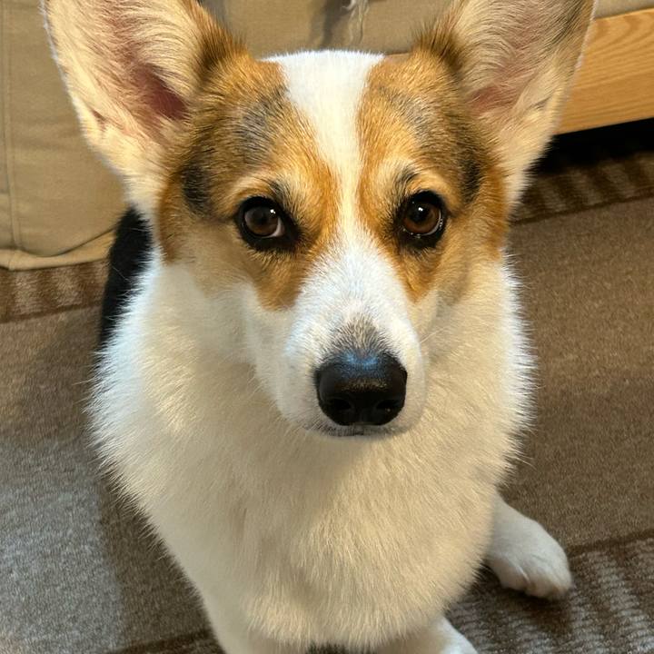 419bf23a 861b 43b3 b2ae 61c3221fa7ef 1767095443912