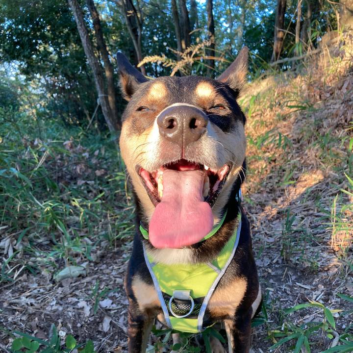 419c2d3a 7ee7 464f b642 8a16c8618516 1635229773745