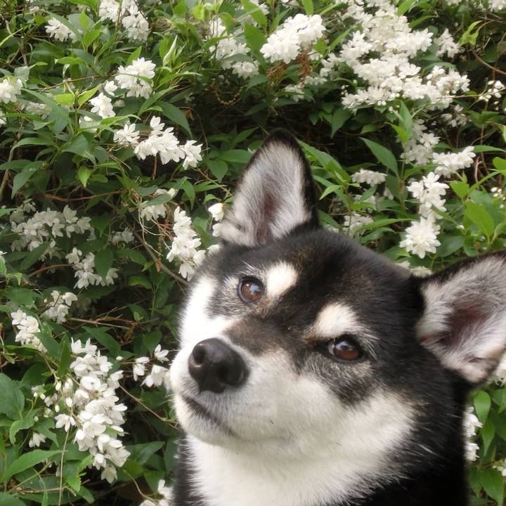 419c750d 65af 43a8 af0e 36421940ec0c 1527031276822