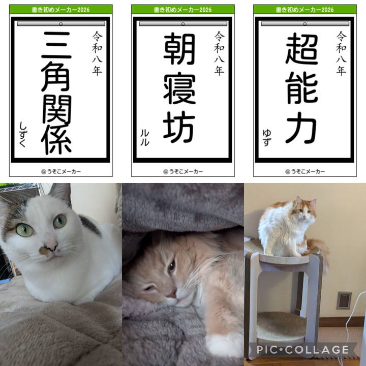 419c8bf3 00a5 4269 9993 67b6ca532712 1767262731332