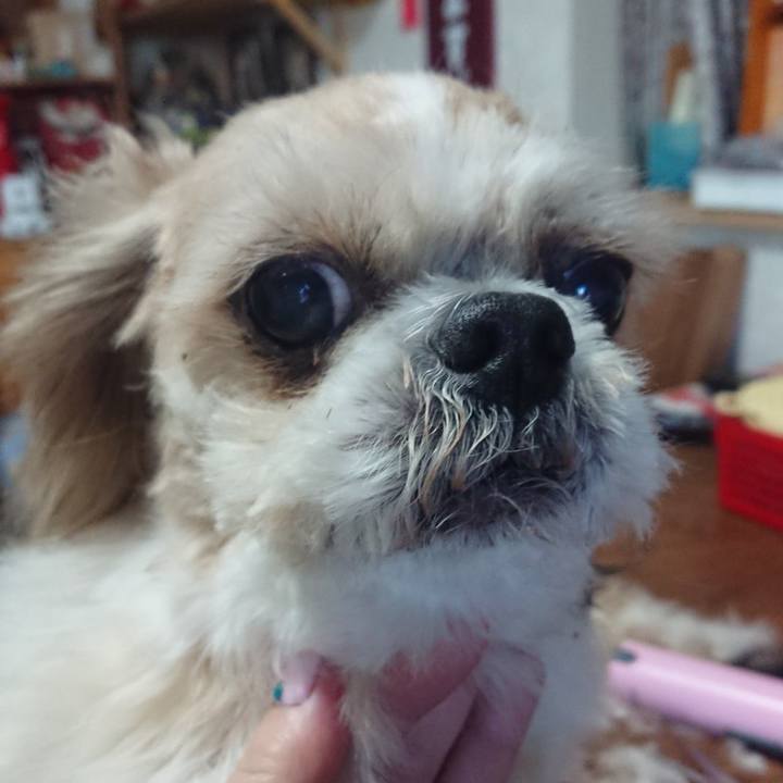 419ccebf 9458 4e34 afc0 d91d2a335474 1577585917157