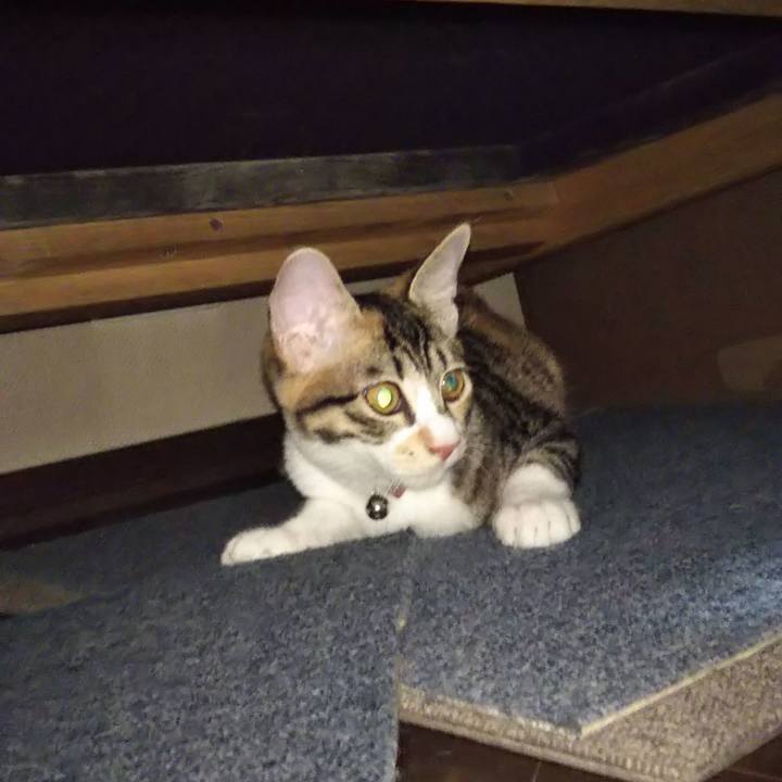 419ced83 86e7 4f2c a06b 0ce7b35afed8 1630630573636