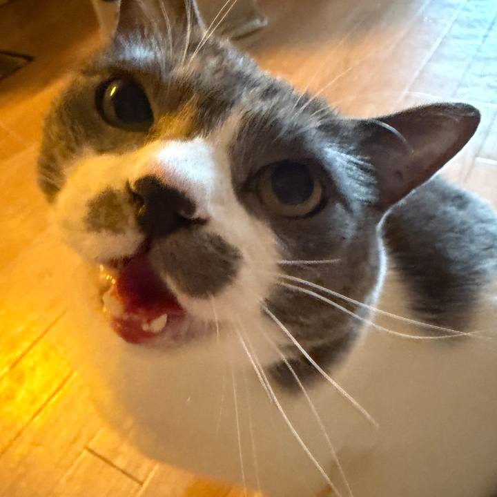 419d04d9 152c 4985 8b20 e0dbf192cdbb 1771809209375