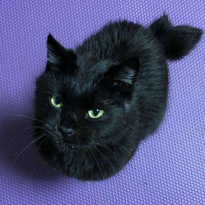 419d202f b48f 4d74 9257 90245012f7a2 1603587032099