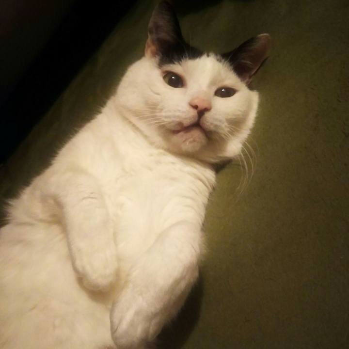 419d2268 7f65 4f53 ad25 cfd90291fa64 1587483898233