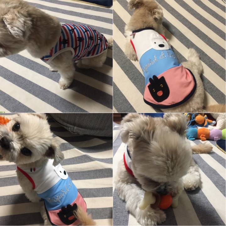 419d54fd 361d 46d1 a6d0 34f03c89a75e 1523968832660