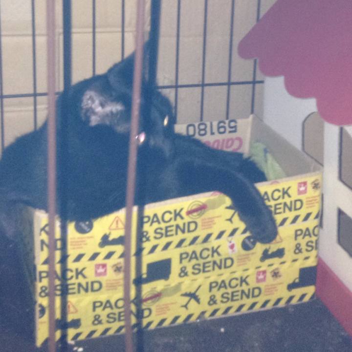 419d6308 8a40 4ecb 8896 aa5877be53c7 1528539920509