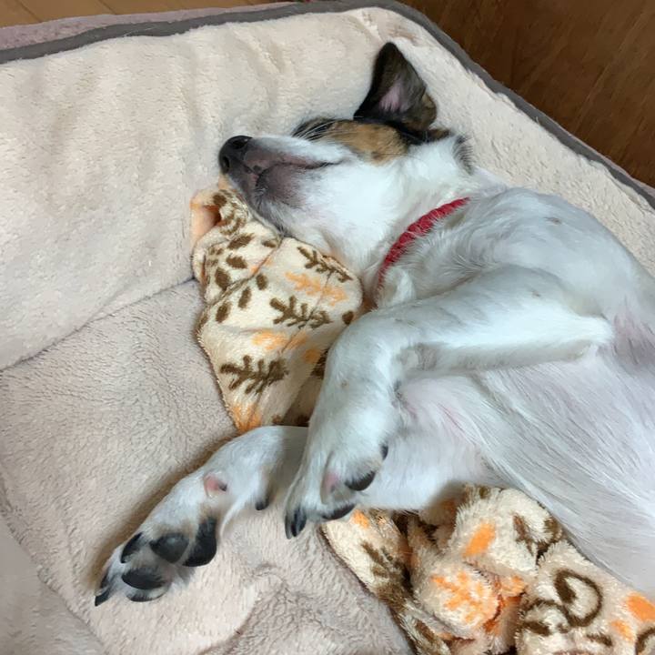 419da4f1 0c1d 4891 bbba af6055d05552 1603969280846