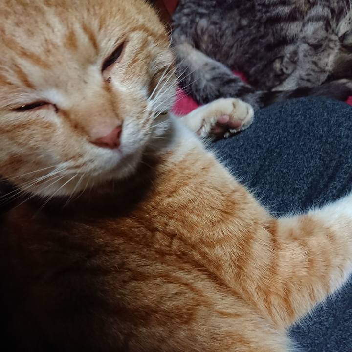 419dcb74 e2cb 4f28 b869 976b7105a8a9 1581940840517