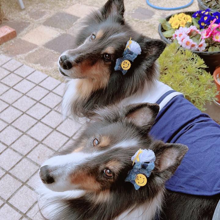 419ddf96 9e69 4bd3 a961 2b3d032e0e30 1643045179992