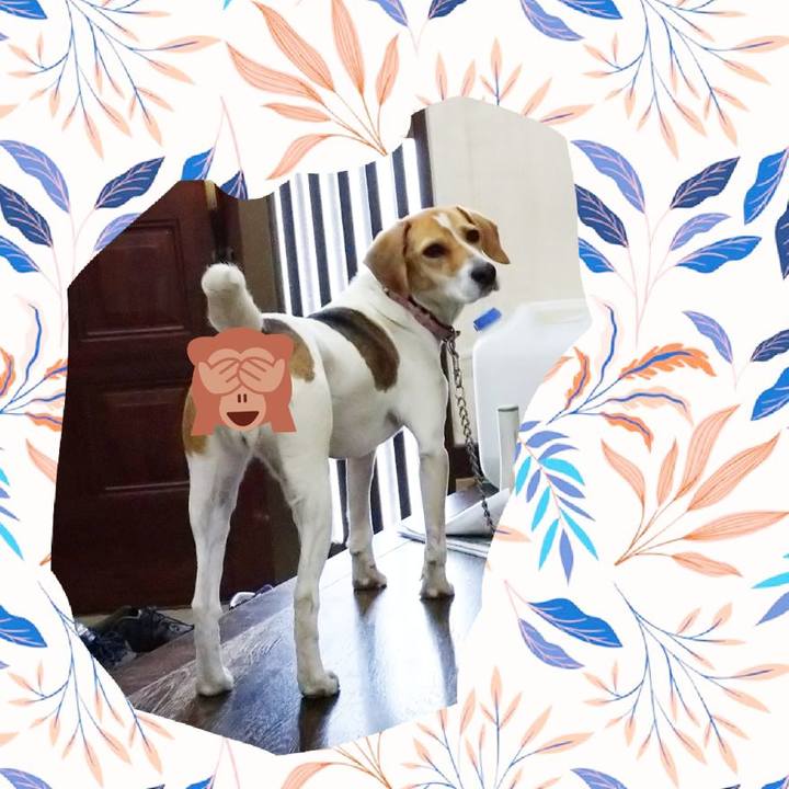 419e1fa6 a009 42e5 9c06 0c78556825aa 1587731165978