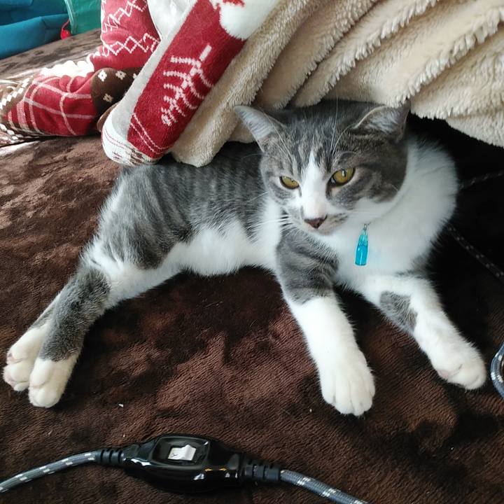 419e5f57 d52d 4c37 b40d 676d69eafe3b 1573787603560