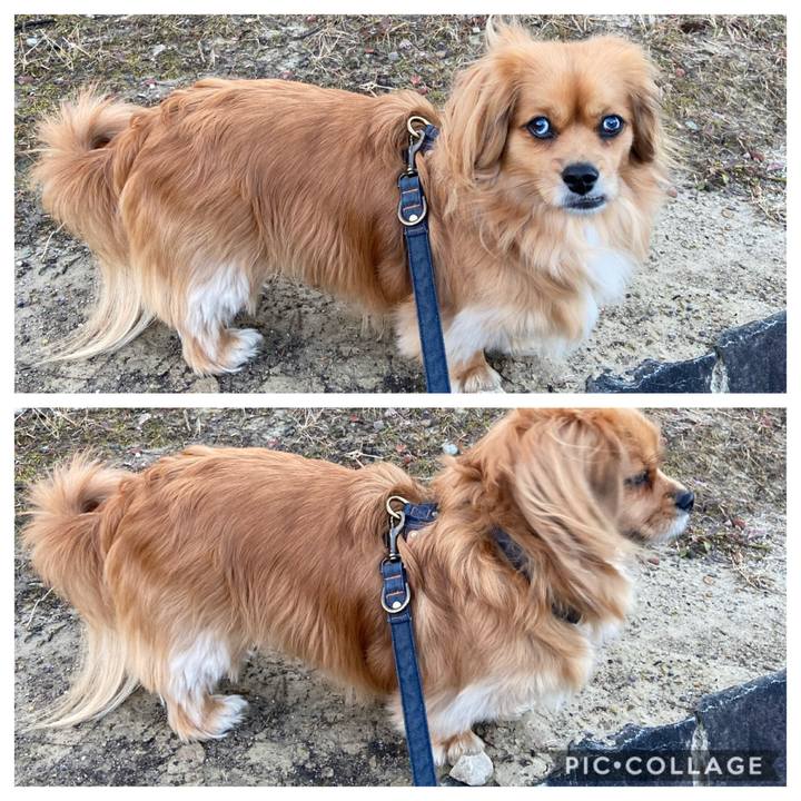 419e6e3c d3d9 434c a624 71eab7d1b105 1582495448337