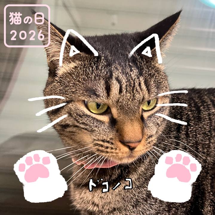 419e82e3 6a22 4d87 b395 0c55333f9b9a 1771732664754