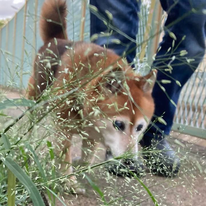 419eb821 eb75 4439 acf9 0db37e2730a3 1693125645326