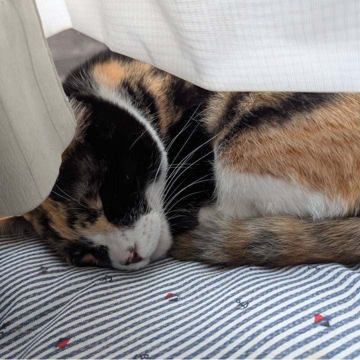 419edfe5 6a3c 4b24 b8c0 dd1ffa917dcf 1744699495721