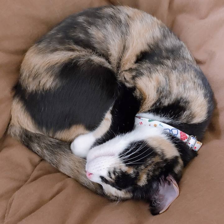 419f32f9 f153 4625 a93a 8b36d4ae1ab3 1568285623357