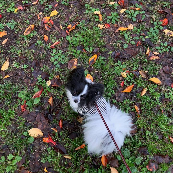 419f4680 fd4d 4a3b 9493 87f2482b9bc0 1541543602574