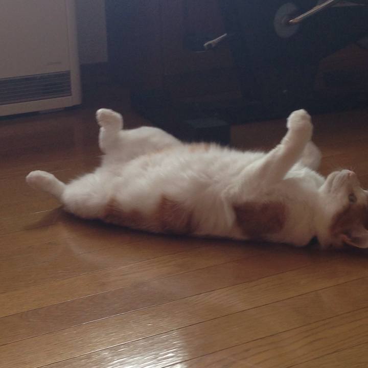 419f4b74 4d45 4239 904d 752c474365cf 1513990154217