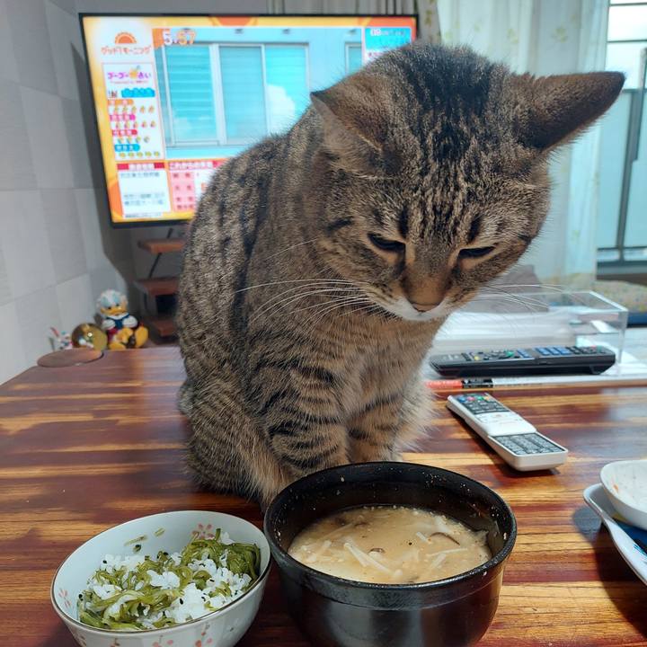 419f4c3e ee07 4b90 a89b a74d09756d08 1632174193283