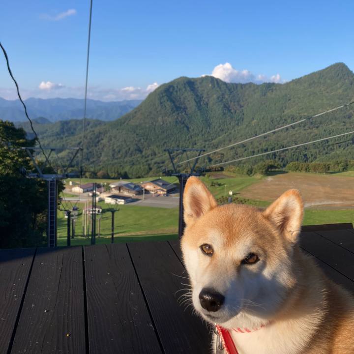 419f77f1 c7a5 45b0 bd27 0865350dafed 1728801809629