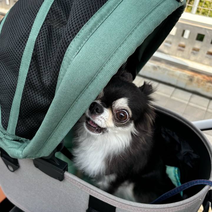 419ff3fe b7fa 4a69 adbf c2679ba70da6 1721597782686