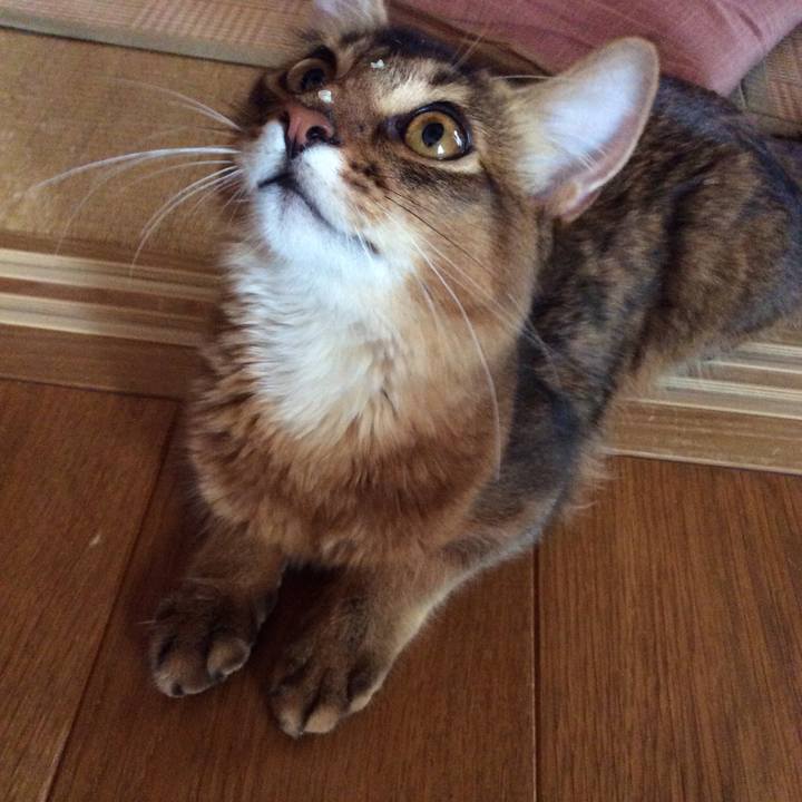 419fff2a 7f24 44e4 8382 629c7b7aadb3 1565426482143