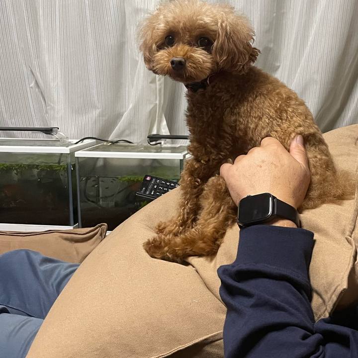 41a0161a 771e 4496 b6e8 3aa4fcae8e5b 1666000505796