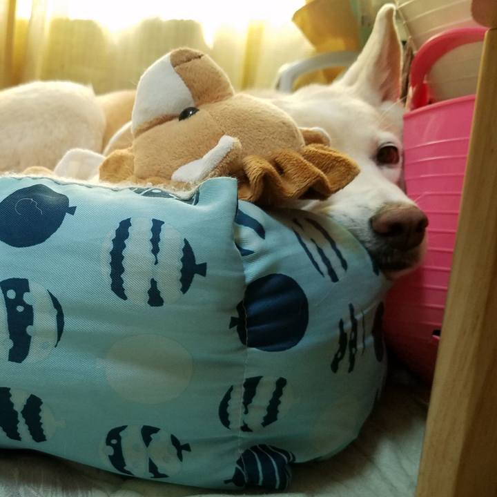 41a043f4 992c 4ee2 852c 5f88c6a5834b 1590894080231