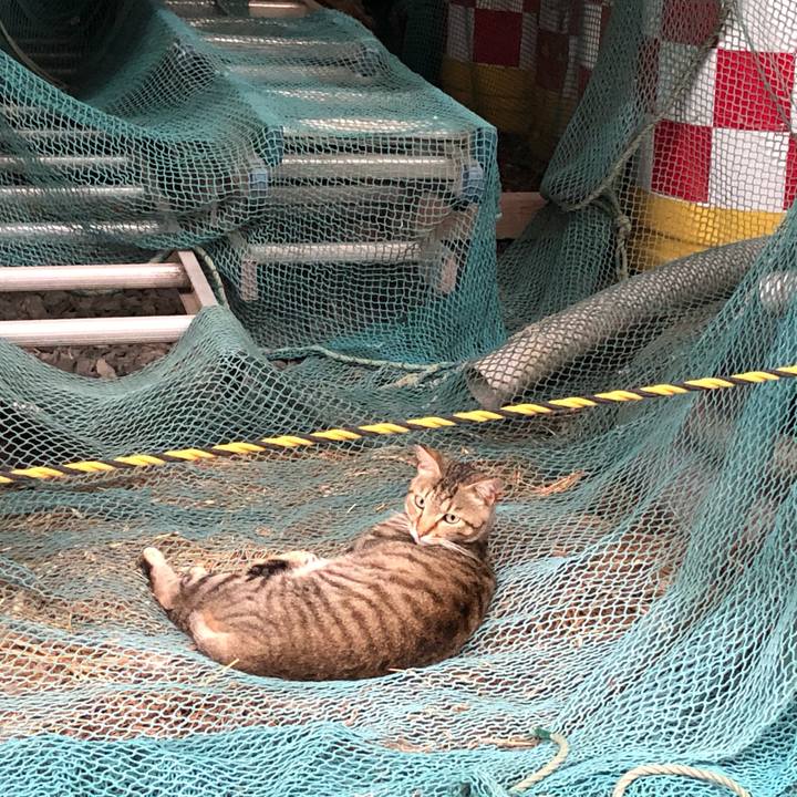 41a05a95 f1a1 4a81 b5f2 e3370f4a18d2 1563107256673