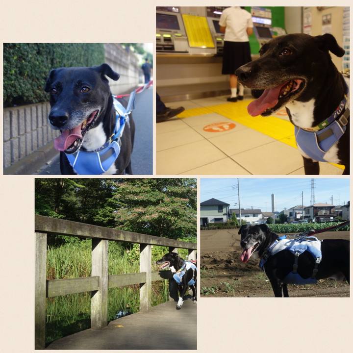 41a076a7 2a08 4928 b481 eceff289f891 1693613776542