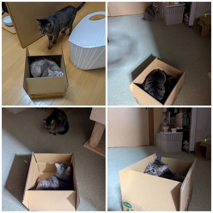 41a081e9 1029 49ee 83ee dda75ff498e7 1770620217943