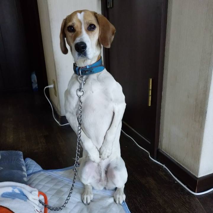 41a0b3e9 ec1e 42d8 a484 5948304fcae2 1607573841704