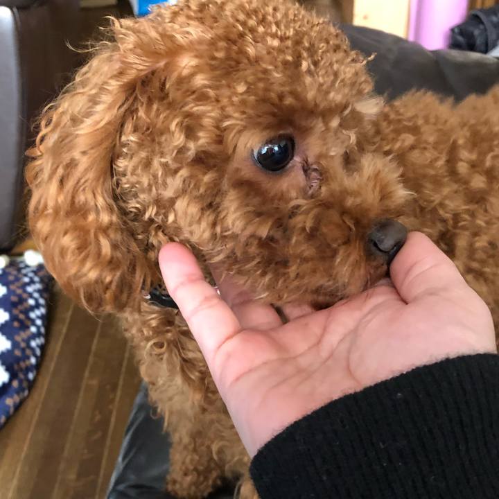 41a0bfe5 9137 4a0c 907c 92c71cd2670c 1515319621256