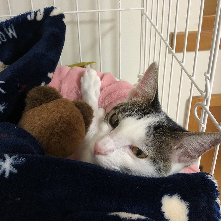 41a10986 7845 45a4 bdb0 e7a60fbcb3ae 1572309774304