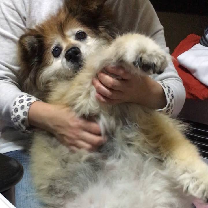 41a11b18 ae66 4da9 8e7d 8c0dfb456090 1558434137300